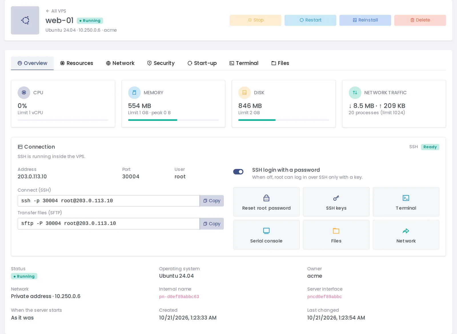 VPS overview with live CPU, memory, disk and traffic, SSH connection details and access shortcuts