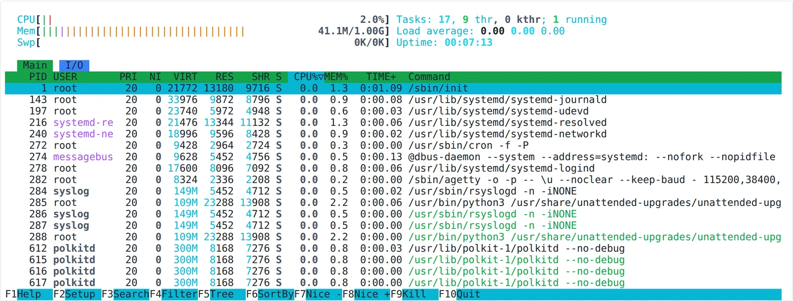 htop inside a VPS showing 41 MB used of 1.00 GB memory and a single CPU